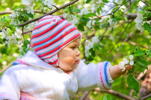 Portrait of small baby in spring apple garden