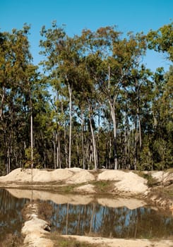 Typical Australian scene gum trees water landscape