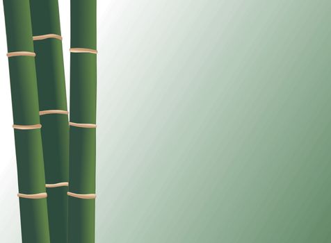 bamboo background