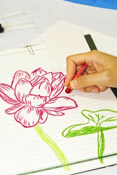 Drawing flowers lotus