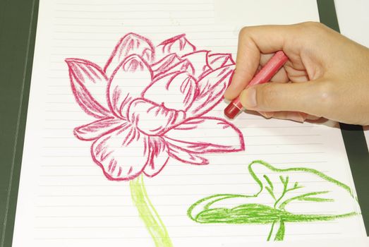 Drawing flowers lotus