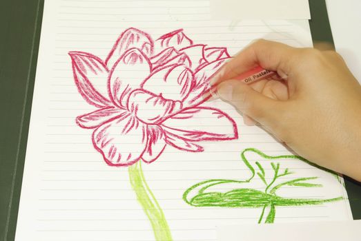 Drawing flowers lotus