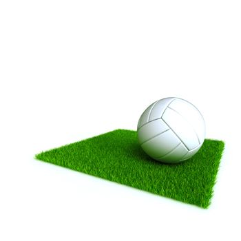 voleyball on a lawn from a green bright grass on a white background