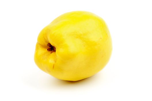 Perfect Ripe Quince isolated on white background