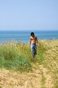 Muscular male model on the beach walking in a corn field 