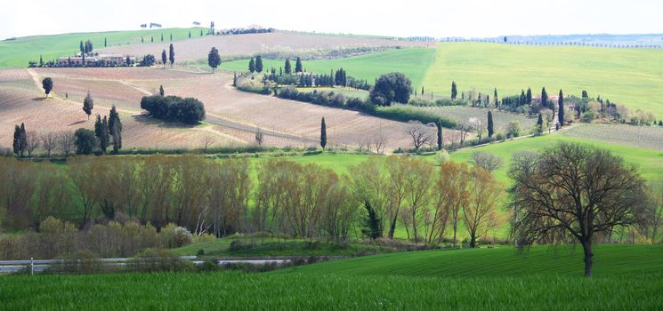 Italy. Tuscany region, Val D'Orcia valley. Tuscany landscape. 