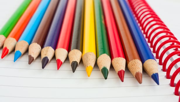 Group of thick colored pencilson a white paper.