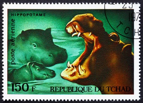 CHAD - CIRCA 1972: a stamp printed in the Chad shows Hippopotamuses, African Wild Animals, circa 1972