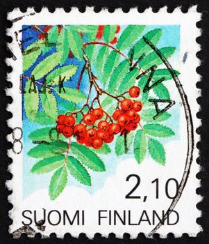 FINLAND - CIRCA 1991: a stamp printed in the Finland shows European Rowan Fruit, Sorbus Sorbus, circa 1991