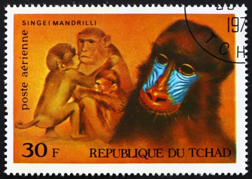 CHAD - CIRCA 1972: a stamp printed in the Chad shows Mandrills, African Wild Animals, circa 1972