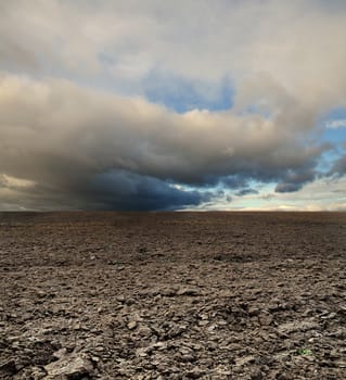 potato field before rain under blue sky landscape