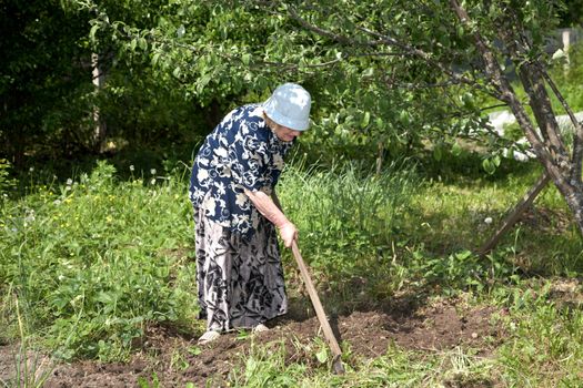 The old woman with a chopper works in a kitchen garden