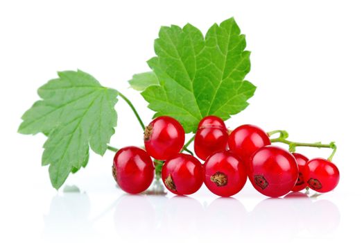 Bunch of red currants with green leaves isolated on white