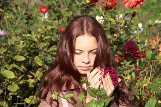 The girl takes hands a flower in the sunny day