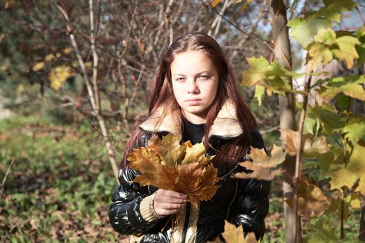 girl-teenager with maple leaves in the autumn afternoon