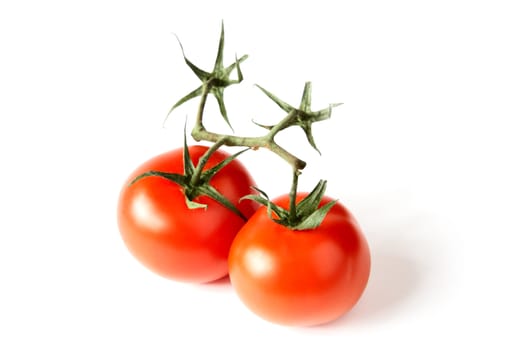 Red tomatoes with green leaves on a white background