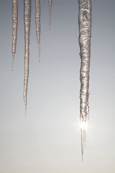 The sun shining through icicles in winter day