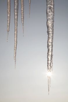 The sun shining through icicles in winter day