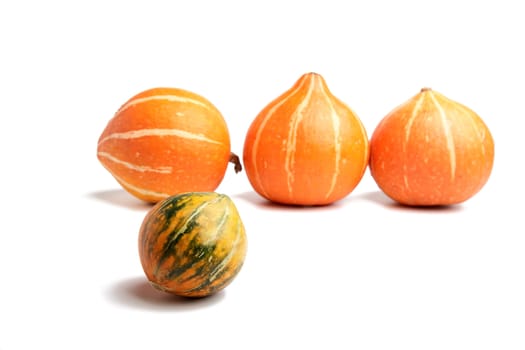 row of pumpkins on a white background