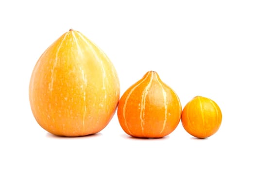 Three pumpkins abreast on a white background  isolated