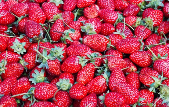 Ripe Red Strawberries in Market