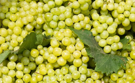 White wine grapes in a market