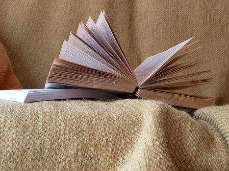 books on sofa for study reading and relaxation