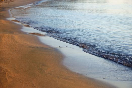 Sea coastline with wet sand. Natural vibrant colors and sunlight