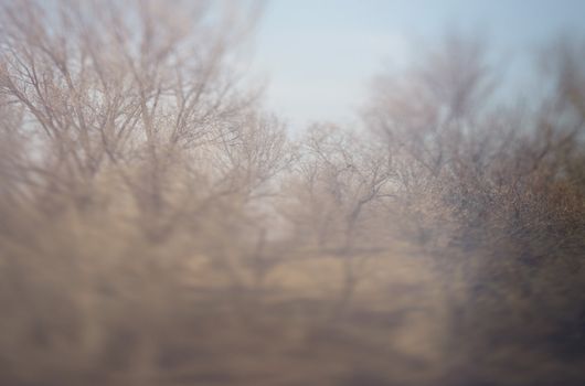 Outdoors photo of the rural park. Shallow depth of field added by the tilt/shift lens for artistic effect