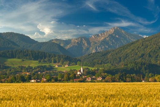 Beautiful summer landscape with golden wheat field and mountains on background