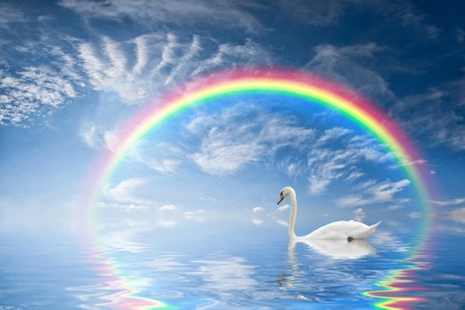 Beautiful seascape with rainbow reflection in water and a floating swan