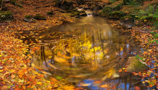 Autumn stream with moving leaves, wood and sky reflection in water