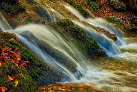 A small waterfall is surrounded by moss and fallen autumn maple leaves