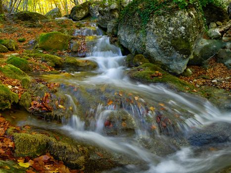 Waterfall is surrounded by moss and fallen autumn maple leaves