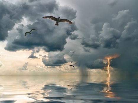 Seagulls over ocean, comes nearer a thunder-storm with rain and lightning on background