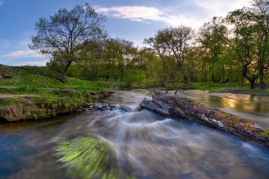 Rapid current on the spring river, around the wood, long exposure