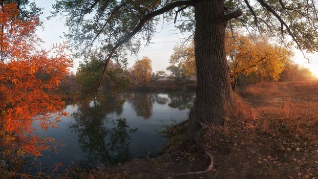 Beautiful autumn landscape on coast of the river, foggy morning with sun. Panorama