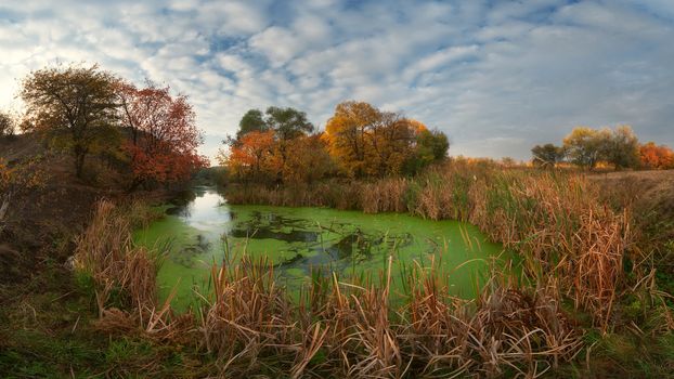 Autuma landscape with yellow trees, river and clouds in sky