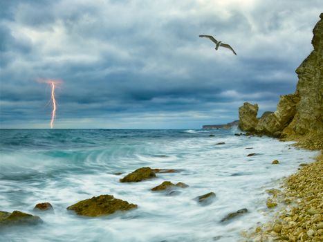 Seagull over ocean, comes nearer a thunder-storm towards the coast from rocks and lightning on background