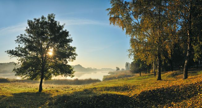 Meadow with a grass near lake and wood, through a tree the sun shines