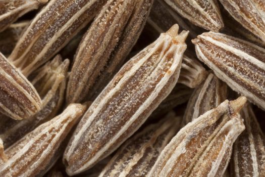 Macro shot of dried cumin seed.