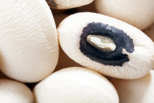 Macro shot of a dried black-eyed pea.