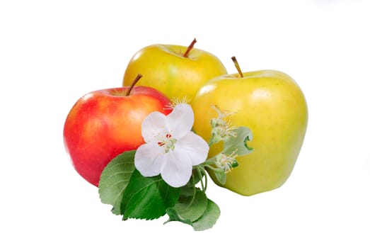 Red and yellow apple with flower isolated on white background