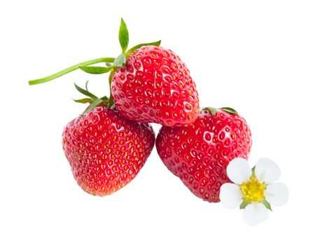 Strawberries with flower isolated on white background