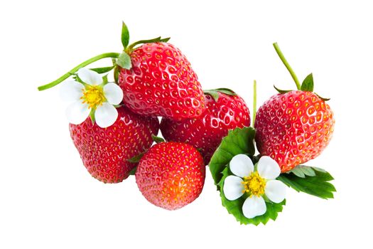 Strawberries with green leaves and flower isolated on white