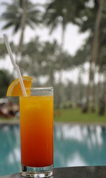 A Glass of Tequila Sunrise on the poolside surrounded by Palm Trees