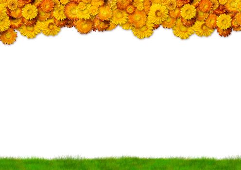 Frame made from flowers and grass with space for copy. Isolated on white background. With clipping path
