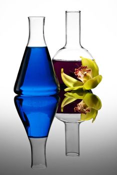 Two colorful flasks with flower, isolated on white