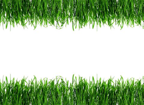 Dew on Seamless fresh spring green grass isolated on white background