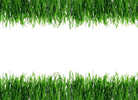 Dew on Seamless fresh spring green grass isolated on white background